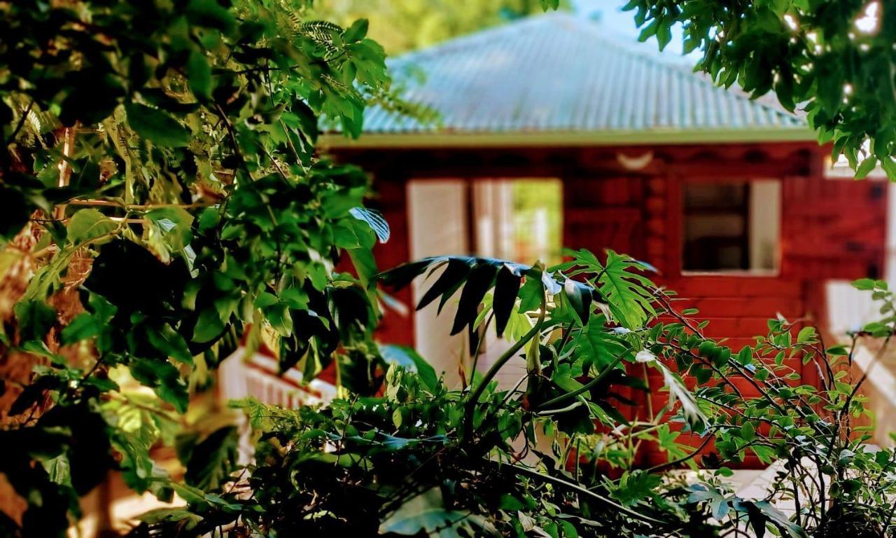 Gite Mamour - Charmant Petit Bungalow A Decouvrir Baillif Εξωτερικό φωτογραφία